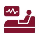 bed bed