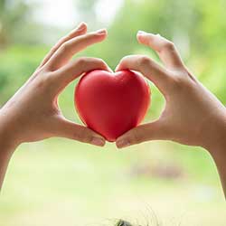heart-250