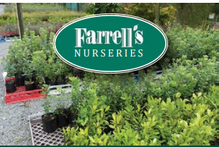 farrells farrells