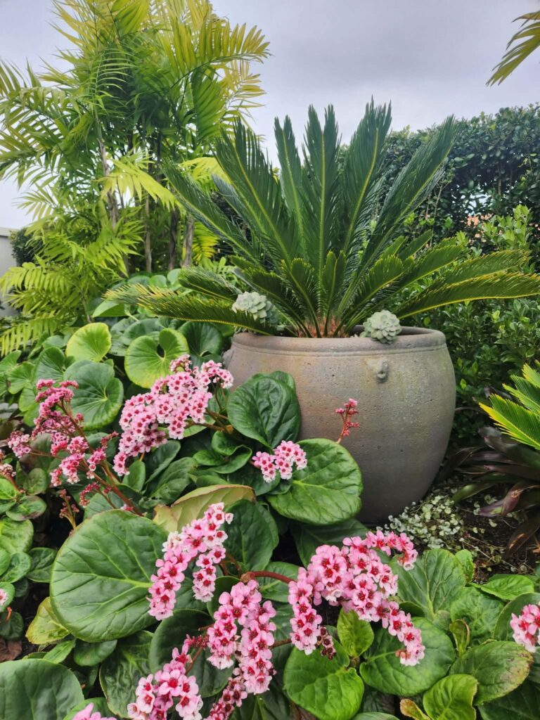 Duin garden Duin garden